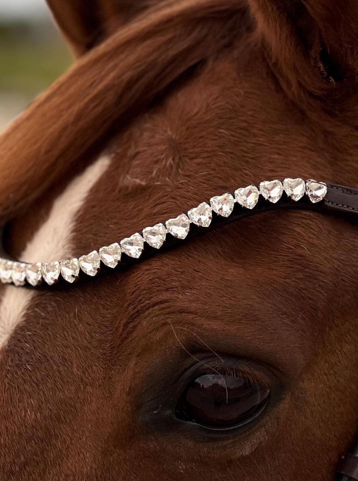 Cwell Equine U Shape Bling Crystal Browband 4 File a Scelta