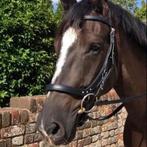 Puede incluir: Un caballo de color marrón oscuro con una distintiva mancha blanca en la cara, que lleva una brida de cuero negro con un bocado de metal. El caballo se muestra de perfil, destacando su crin oscura, orejas alertas y la brida detallada.