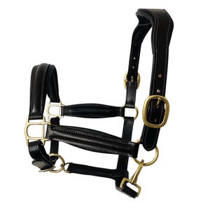 May include: A black leather horse headcollar featuring padded crown and noseband sections with white contrast stitching. The headpiece includes polished brass hardware, including buckles, rings, and a snap hook, designed for secure adjustment and durability.
