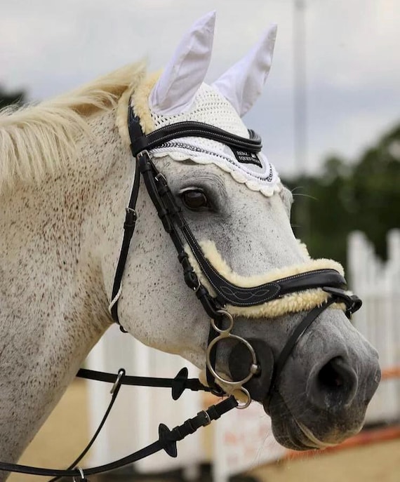 anatomical headpiece bridle