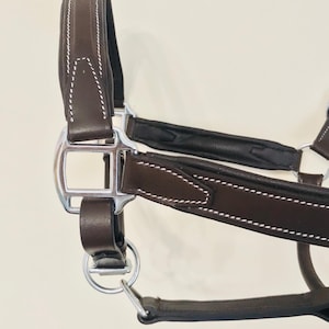 Leather Headcollar Padded Comfort smart Show Stitching Black & Brown Full and Cob size