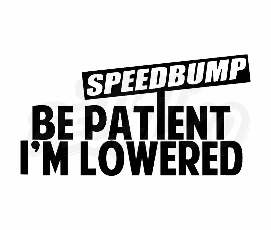 Be Patient I'm Lowered Vinyl Decal Stickers Bottle Funny, Rude, Adult ...