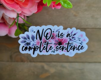 Nee is een complete zin vinyl sticker//laptop sticker/waterfles/tumbler//geestelijke gezondheid