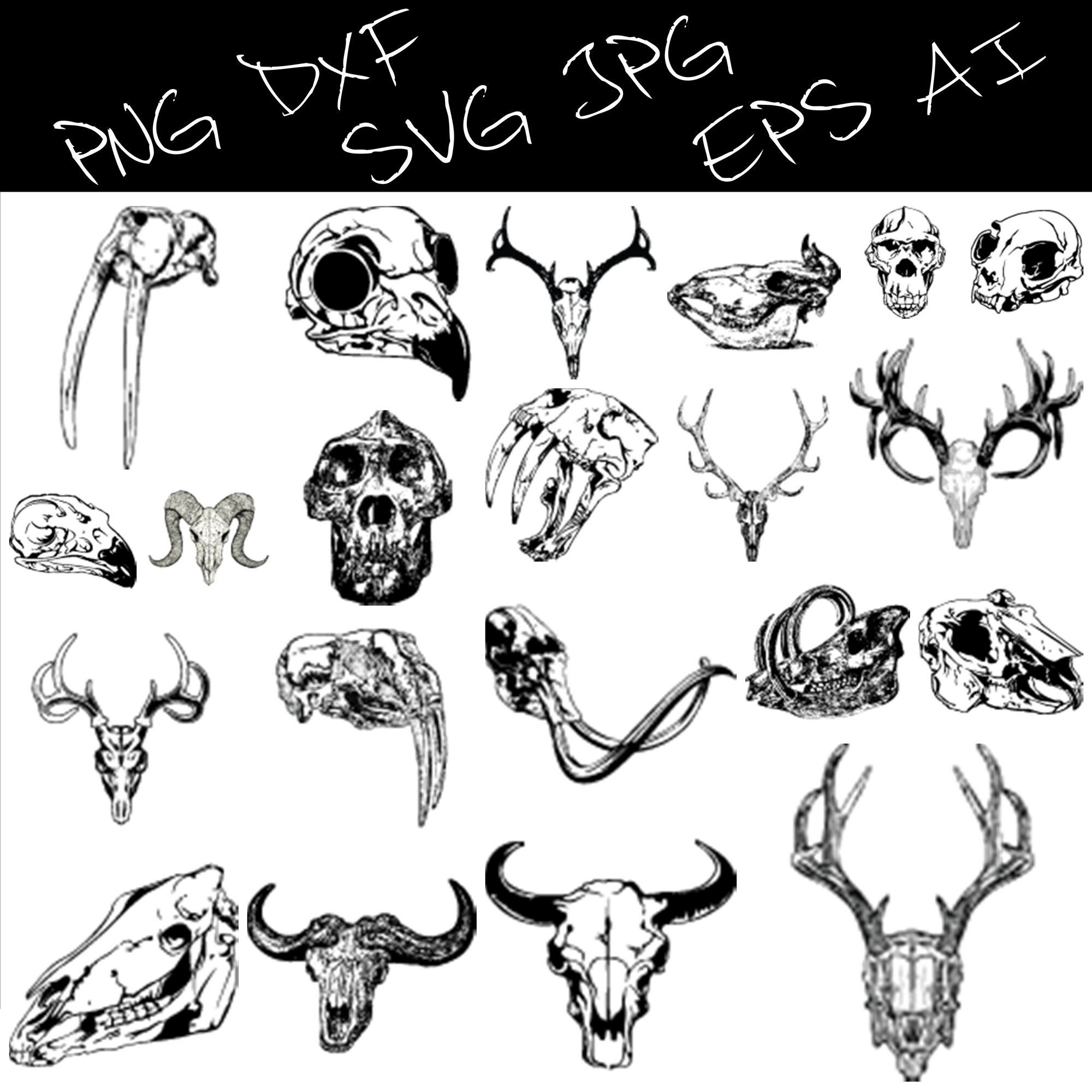 Animal Skulls High Resolution Vector & Svg Png Eps jpg Dxf - Etsy