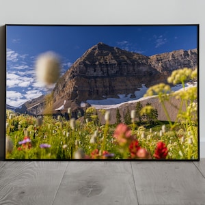 Wildflowers at Mount Timpanogos Upper Basin, Wasatch Mountains, Utah, Digital Print, Instant Download