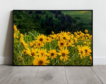 Mountain Wildflowers, Little Cottonwood Canyon, Albion Basin, Digital Print, Instant Download