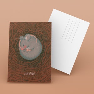 ratón dormido, postal animal