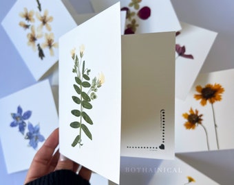 Botanical Cards - Pressed Flowers - Real Flowers, dried - Handmade - Floral Card - Gift Love Friendship Card - Table Cards - Christmas Gift