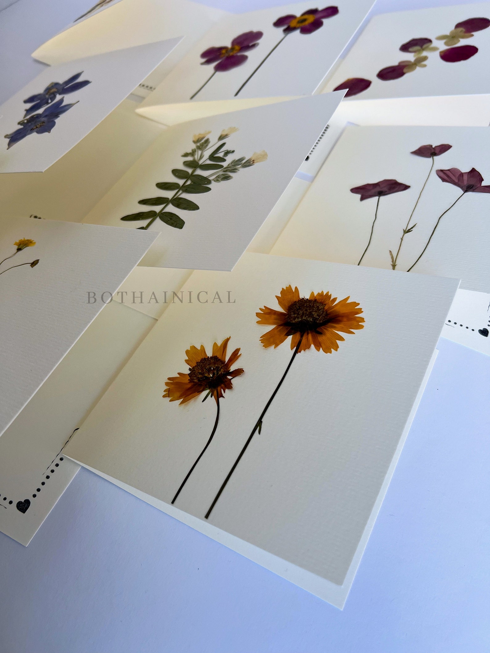Botanical Cards - Pressed Flowers - Real Flowers, Dried - Handmade ...