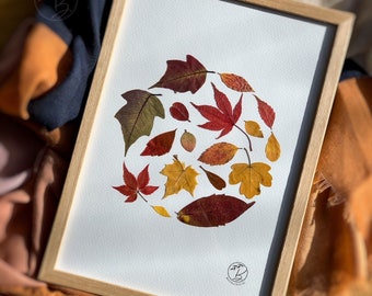 Framed Autumn Leaves - Pressed Leaves - Herbst Blätter - Home Decor - Autumn colors - Pressed Flowers
