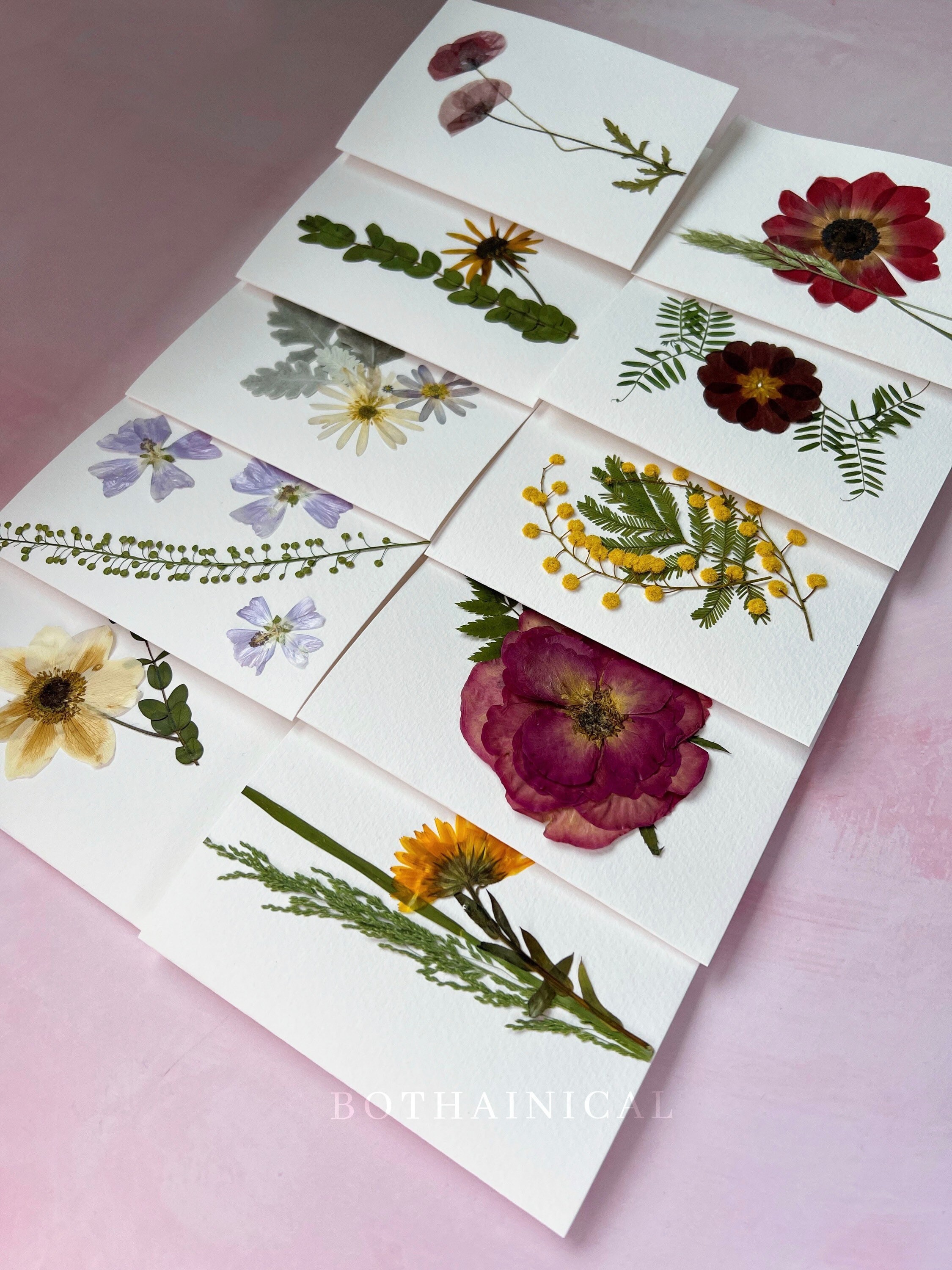 Botanical Card - Pressed Flowers - Real Flowers, Dried - Handmade ...