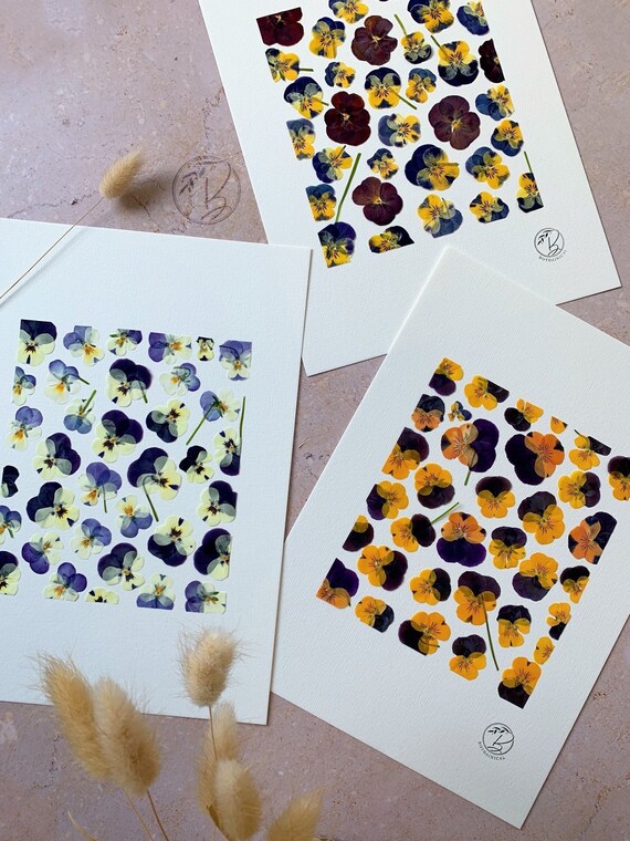 Botanical Art With Pressed Flowers Watercolor Paper Home Etsy