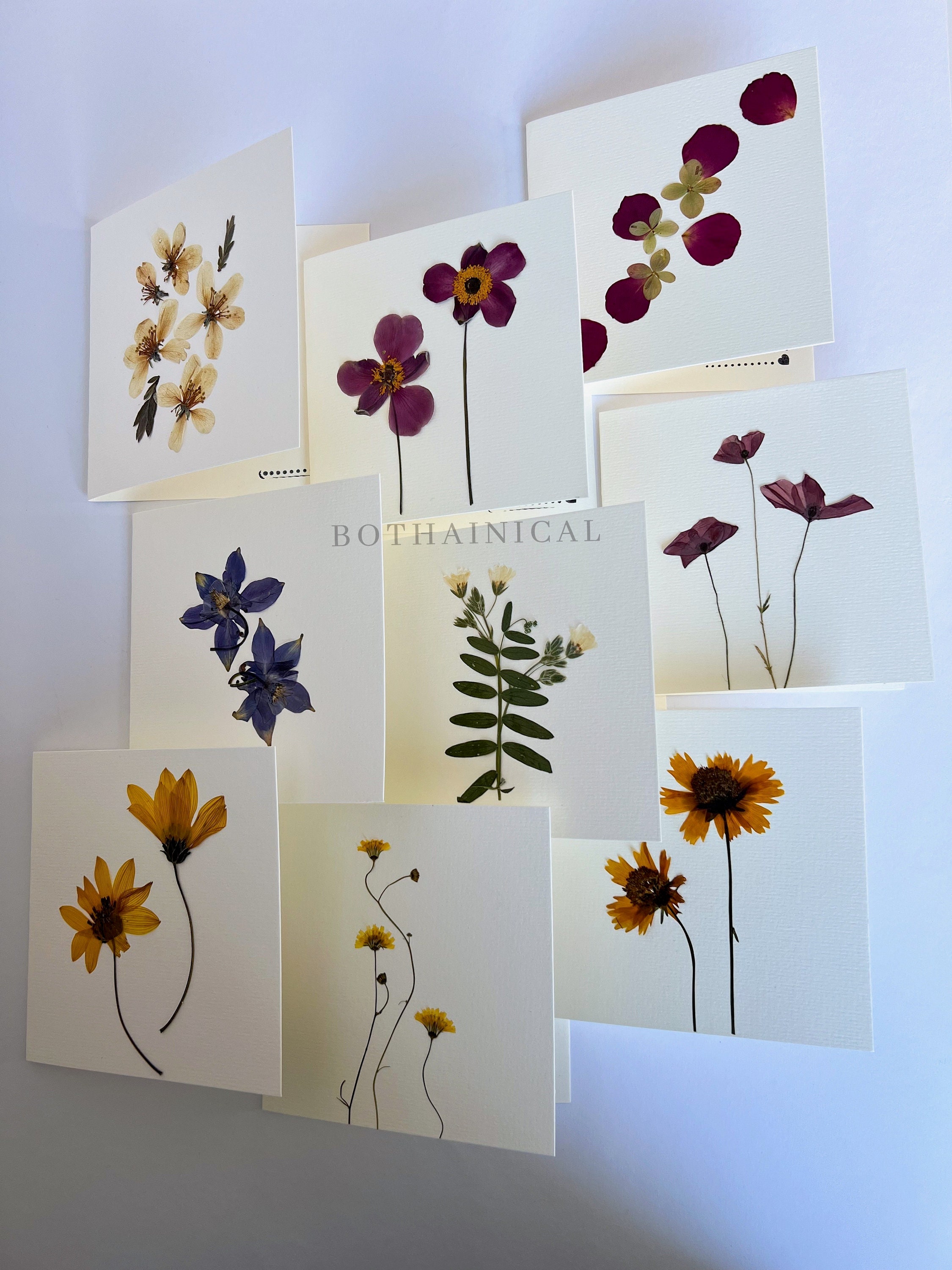 Botanical Cards - Pressed Flowers - Real Flowers, Dried - Handmade ...