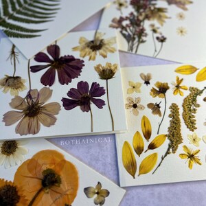 Tarjetas botánicas - Flores prensadas - Flores reales, secas - Hechas a mano - Tarjeta floral - Tarjeta de amistad de amor de regalo - Tarjetas de mesa - Regalo de la madre