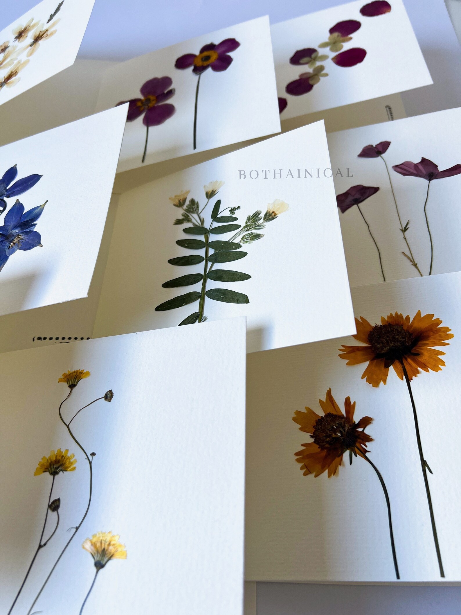 Botanical Cards - Pressed Flowers - Real Flowers, Dried - Handmade ...