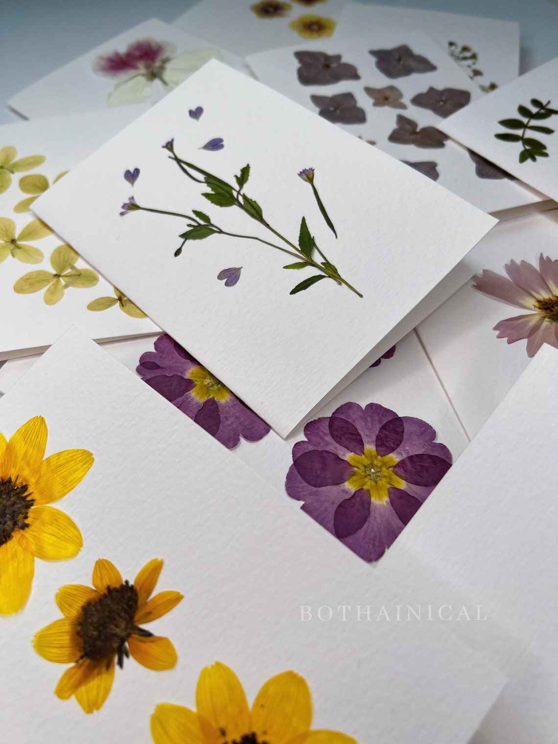 Botanical Card - Pressed Flowers - Real Flowers, Dried - Handmade ...