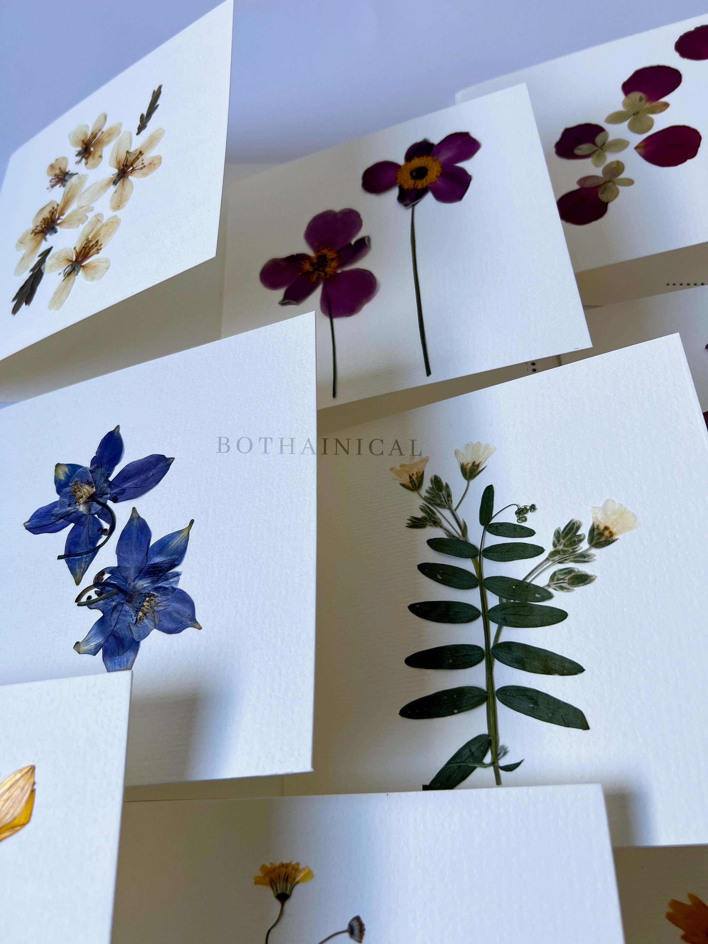 Botanical Cards - Pressed Flowers - Real Flowers, Dried - Handmade ...