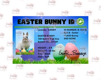 Easter bunny ID PNG