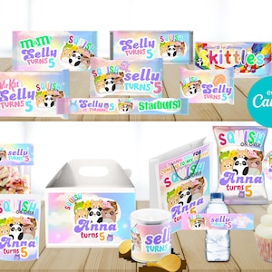 Afdrukbaar squishmallow-feestpakket, bedankzakje, zakje chips, etiket waterfles, videoparty, digitaal afdrukbaar ontwerp