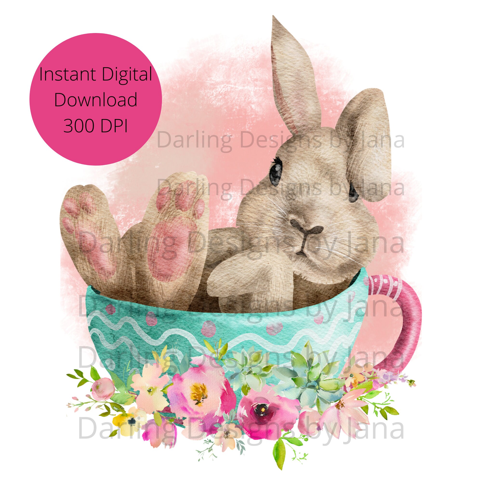 Teacup Bunnies for sale Only 3 left at 75