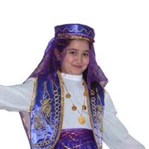 Persian Dance Dress -  UK