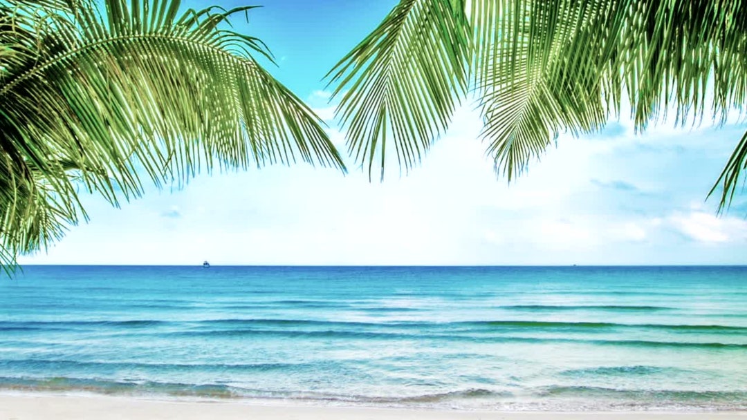 Zoom Into Beach View Virtual Animated Background, Template for Office