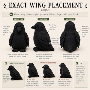 May include: An instructional graphic titled EXACT WING PLACEMENT showing front, side, and back views of a black crow plush toy. It illustrates correct wing positioning relative to the eyes and body, with text labels and examples of common sewing mistakes.