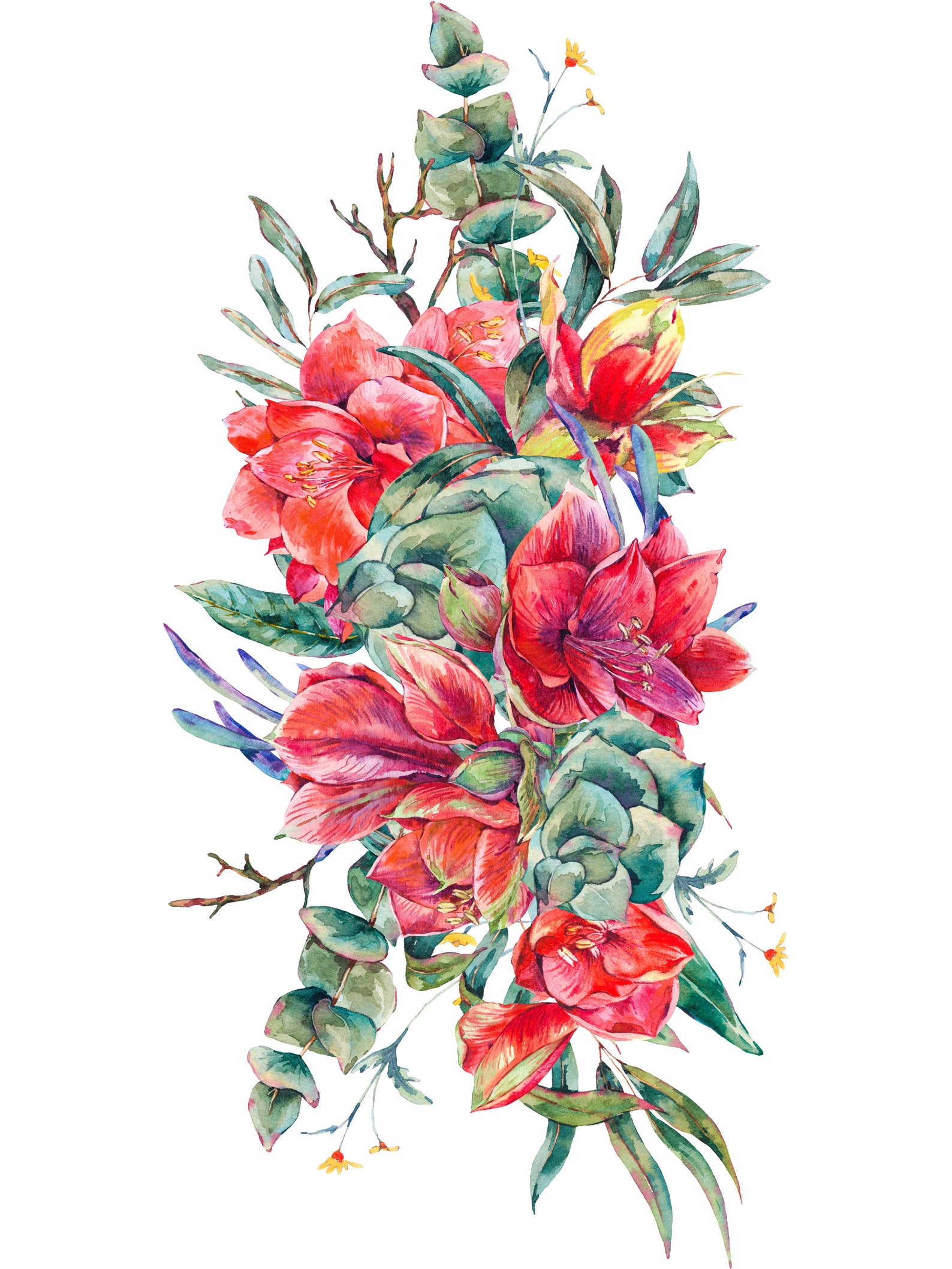 Botanical Floral Drawings Bouquets Digital Art Eucalyptus Watercolors ...