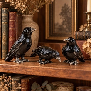 May include: Three glossy black ceramic bird figurines are arranged on a wooden shelf. The birds feature detailed textures on their wings and feet, with one standing upright, one leaning forward, and one sitting in a rounded, compact posture.