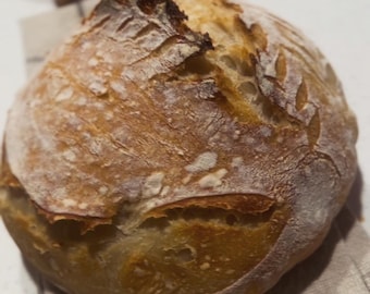 Dehydrated Sourdough Starter