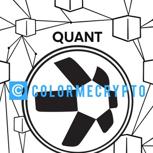 May include: A black and white logo with an arrow pointing to the right, surrounded by a circle. The text "QUANT" is above the logo and the text "QNT" is below the logo. The logo is connected to other shapes by lines, creating a network pattern.