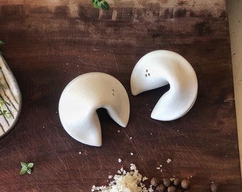 Ceramic salt and pepper shakers | spicing fortune cookies