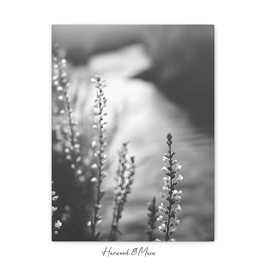 Black and White Fine Art Photography Print, Minimalist Nature Wall Art ...