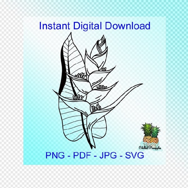 Digital Download - Tropical Island Flowers Heliconia Graphics - Hand Drawn pdf, jpg, png, svg - Cut Files - Clipart