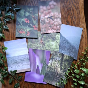 Tirage photo carte postale A6 de nature | Décoration murale | Photographie magique, poétique, féérique et naturelle |