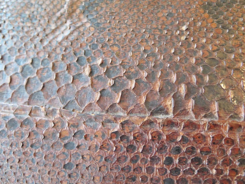 K&ouml;nnte beinhalten: Nahaufnahme einer strukturierten Oberfl&auml;che mit einem Muster, das Reptilienschuppen &auml;hnelt. Die Schuppen sind haupts&auml;chlich braun mit dunkleren Akzenten, was ein nat&uuml;rliches, verwittertes Aussehen erzeugt. Die Oberfl&auml;che ist durch eine horizontale Naht geteilt.