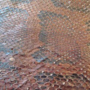K&ouml;nnte beinhalten: Nahaufnahme einer strukturierten Oberfl&auml;che mit einem Reptilienhautmuster. Das Muster weist eine Mischung aus braunen, beigen und schwarzen Schuppen auf, die ein nat&uuml;rliches und organisches Aussehen erzeugen. Die Schuppen variieren in Gr&ouml;&szlig;e und Form und verleihen Tiefe und Details.
