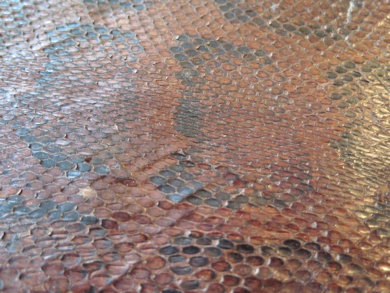 K&ouml;nnte beinhalten: Nahaufnahme einer strukturierten Oberfl&auml;che mit einem Reptilienhautmuster. Das Muster weist eine Mischung aus braunen, beigen und schwarzen Schuppen auf, die ein nat&uuml;rliches und organisches Aussehen erzeugen. Die Schuppen variieren in Gr&ouml;&szlig;e und Form und verleihen Tiefe und Details.