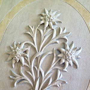 Antique Carved Wood Edelweiss Photo Album - Early 1900s