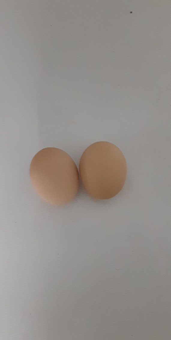 6 Piece Farm Fresh Organic Chicken Eggs Etsy