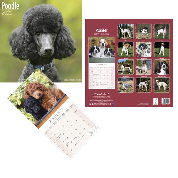 Poodle Dog Square Wall Calendar 2022 | Etsy