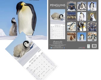 Penguins 2022 2023 Schedule Penguin Calendar | Etsy