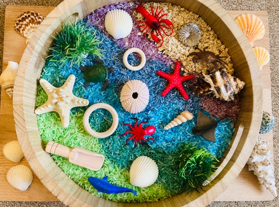 Under the Sea Loose Parts Play Kit Tuff Tray Activity Sensory Bin Sensory  Play Kit -  Canada