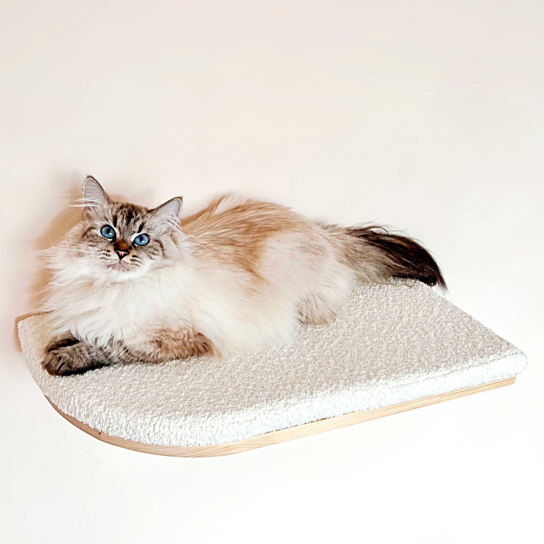 Semicircular Cat Wall Shelf Soft Cat Bed Wood Cat Shelves Etsy