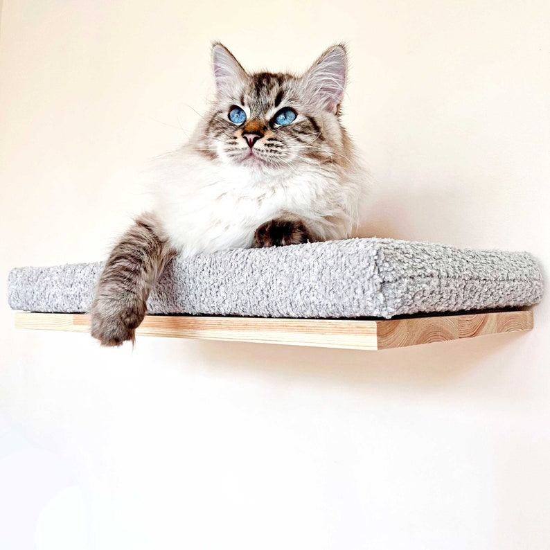 May include: A fluffy white and brown cat with blue eyes sits on a gray cat bed on a wooden shelf. The cat is looking up and to the right.