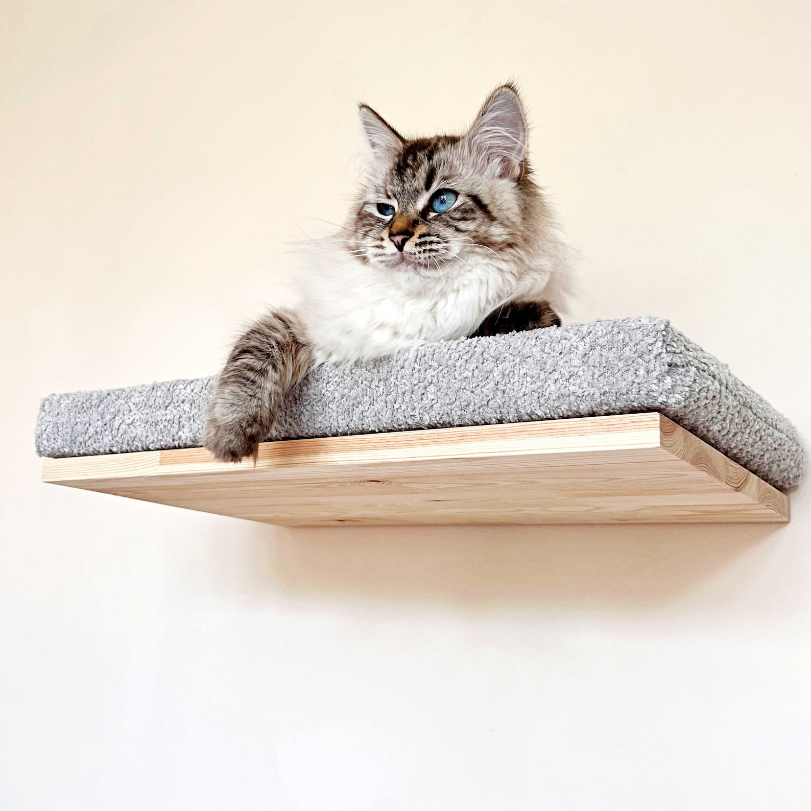 Soft Cat Wall Shelf, Cat Bed, Minimalistic Pet Furniture Etsy