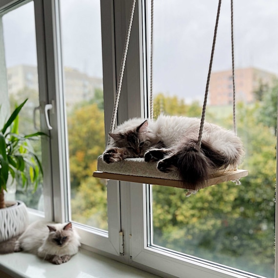 Cat bed that sticks to window hot sale