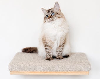 Cappuccino Cat Wall Shelf, Minimalist Pet Bed, Modern Cat Perch