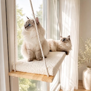 May include: A rectangular wooden cat perch suspended by thick white ropes in front of a window. The platform features a soft, cream-coloured textured cushion on top. Two long-haired cats with blue eyes are resting on the cushioned surface.