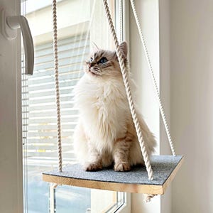 May include: A fluffy, light-colored cat sits on a hanging cat shelf near a window. The shelf is made of wood and gray felt, suspended by thick, white ropes. The cat has blue eyes and is looking up.